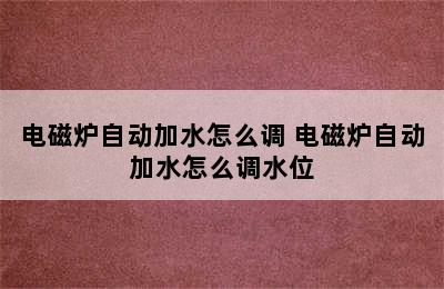 电磁炉自动加水怎么调 电磁炉自动加水怎么调水位